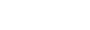 sinzu logo