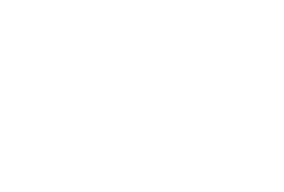 whipik logo