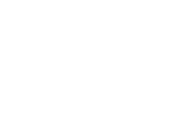 whipik logo
